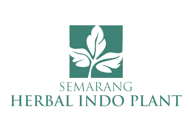 PT.SEMARANG HERBAL INDOPLANT (SIDOMUNCUL)